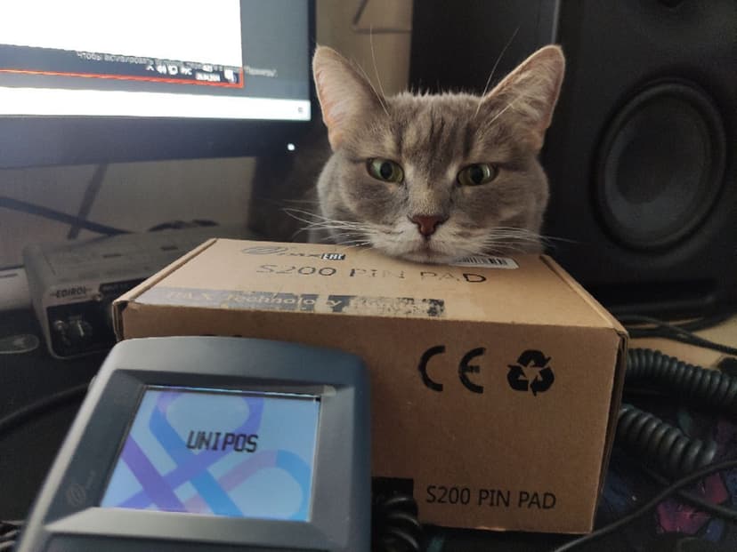 gatos